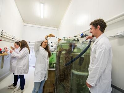 You can study aquaculture. Photo credit NMIT