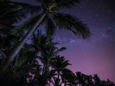 Under the starry sky and palm trees in Northern Western Australia. Photo credit: Tourism WA