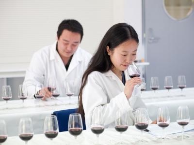 Learn about working in the wine industry in one of the world's top wine-producing countries.  Photo credit: EIT