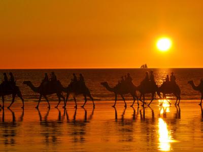 Sunset camel trekking in Broome. Photo credit: Tourism WA