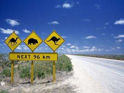 Australian road signs. Photo credit: Tourism Australia copyright.