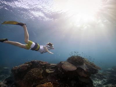 Snorkelling on the Great Barrier Reef.  Photo credit: Tourism Australia copyright.