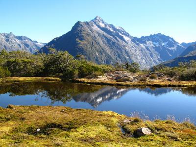 View from the Routeburn track, Fiordland.  Photo credit: Rhiannon Davies